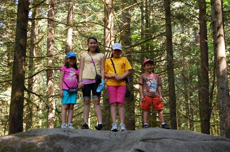 The Girls