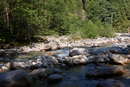 Lynn Canyon