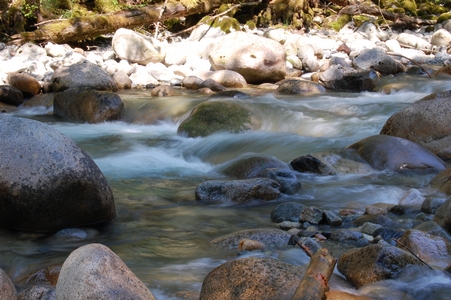 Lynn Canyon