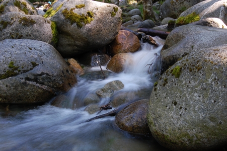 Lynn Canyon