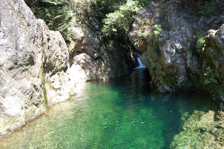 Lynn Canyon