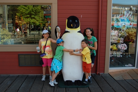 Penguin