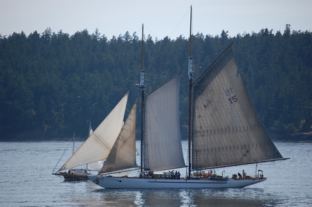 Sail boat