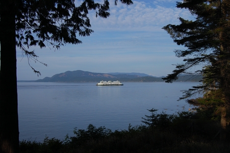 The ferry