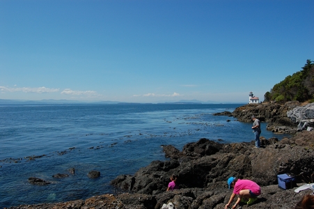Lime Kiln State Park