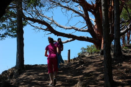 Lighthouse trail