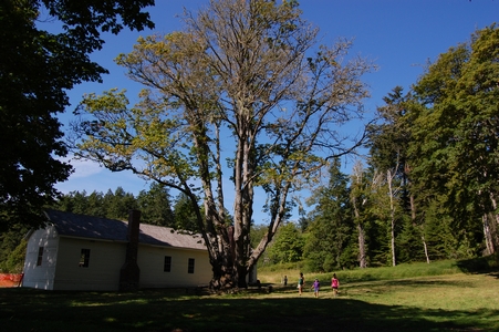 English Camp