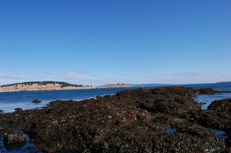 San Juan Island