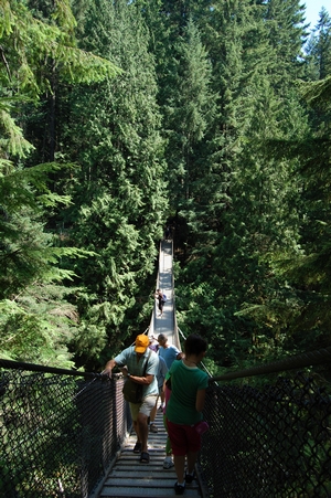 Lynn Canyon