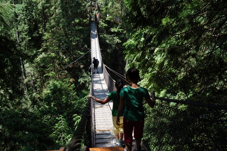 Lynn Canyon