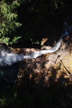 Lynn Canyon