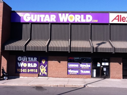 The Guitar World