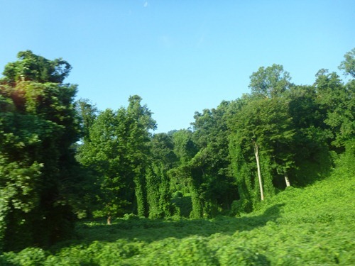 P1000279