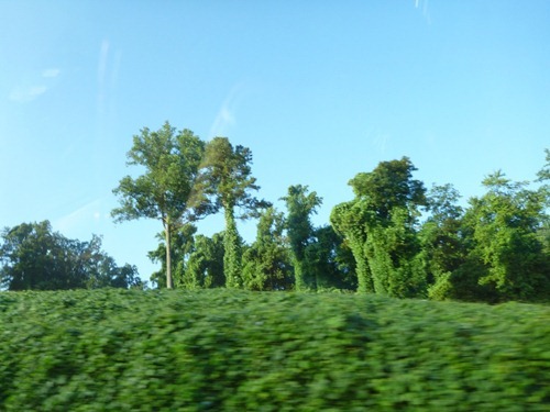P1000280