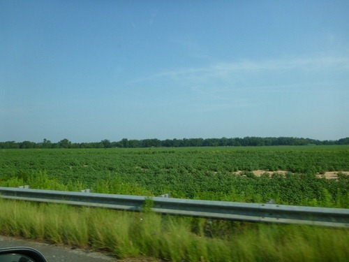 P1000299