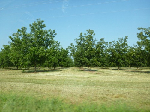 P1000300
