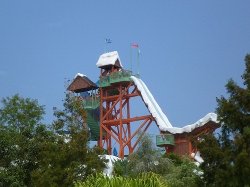 P1000568