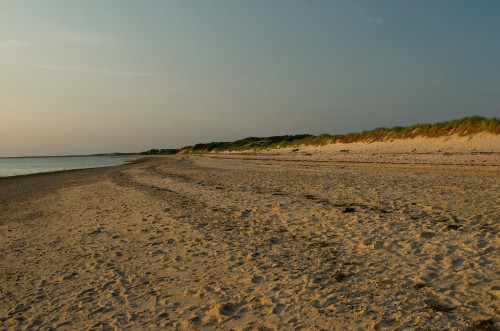 20140730_D7K_3720