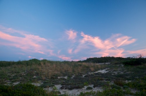 20140731_D7K_3825