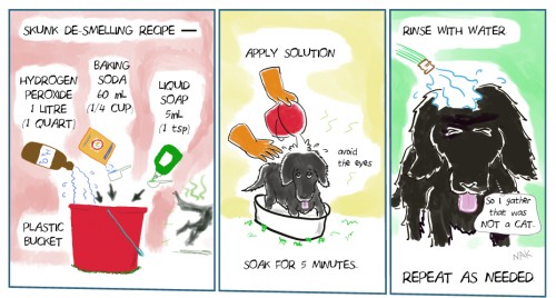 recipeforskunk