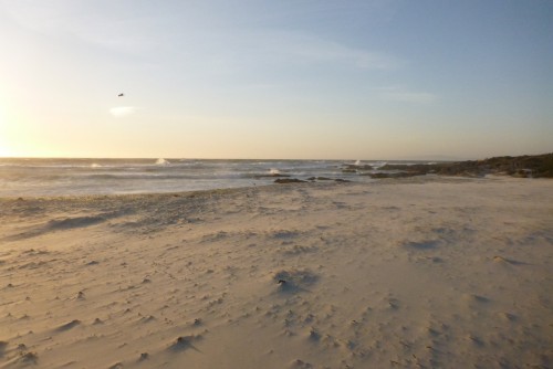 20150414_P1020700