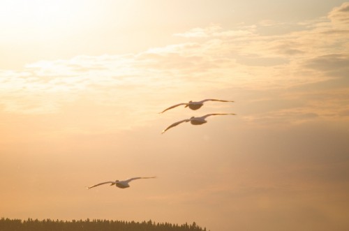 20150526_D7K_6114