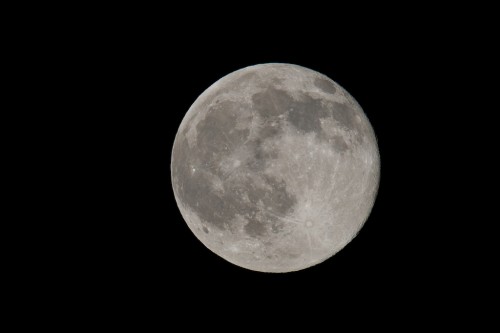 20150602_D7K_6358 (1)
