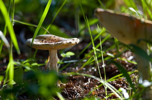 20150625_D7K_6640
