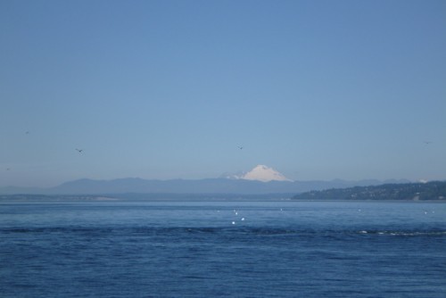 Click to enlarge photos