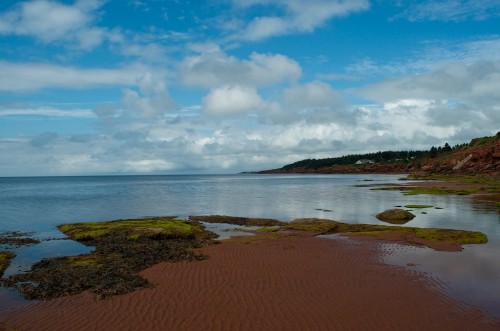 Click to enlarge photos