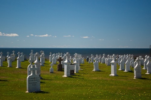 Click to enlarge photos