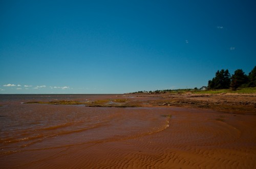 Click to enlarge photos