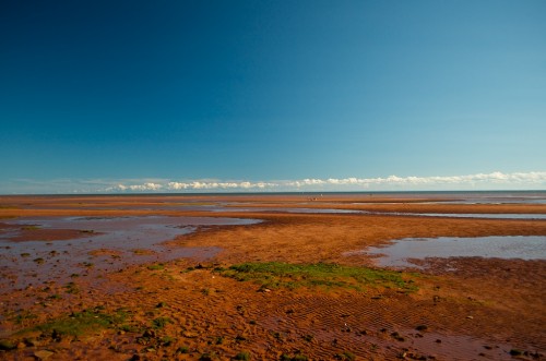 Click to enlarge photos