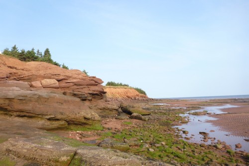 Click to enlarge photos