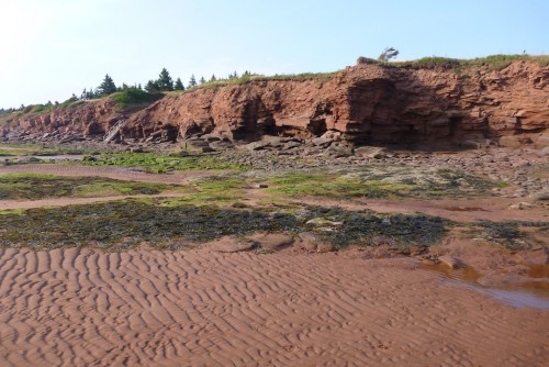 Click to enlarge photos