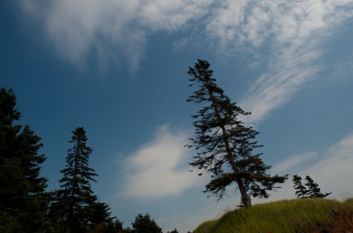 Click to enlarge photos