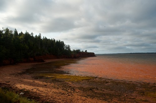 Click to enlarge photos