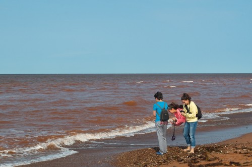 Click to enlarge photos