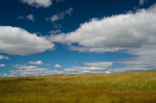 Click to enlarge photos