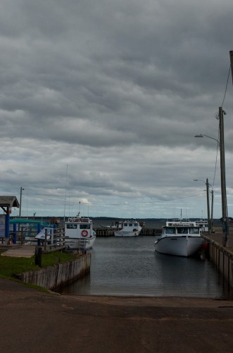 Click to enlarge photos