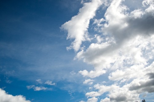 Click to enlarge photos