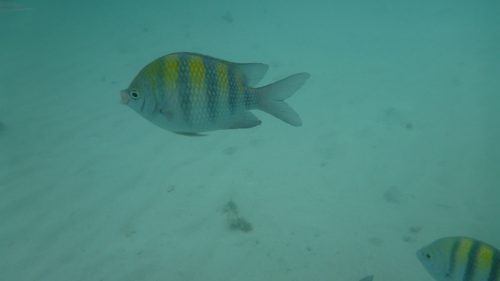 20160513-P1030295