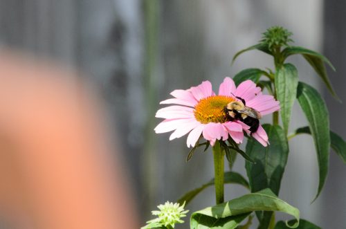 20160707-D7K_2164