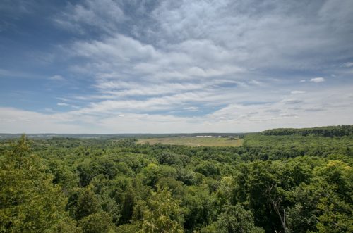 20160717-D7K_2268