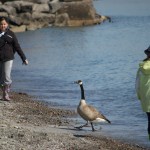 20110409_DSC_3581 (Spring Cleaning)