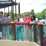 20110612_DSC_3779 (Toronto Zoo)