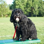 20110626_DSC_3888 (Soccer Practice)