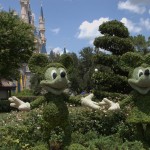 DSC_4786.jpg (Day 7: The Happiest Place on Earth)