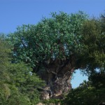 DSC_4852.jpg (Day 8: Three Parks in One Day)