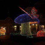 DSC_4969.jpg (Day 8: Part 2)